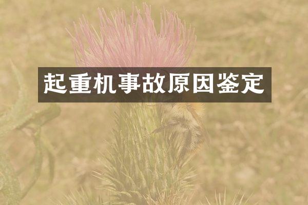 起重机事故原因鉴定