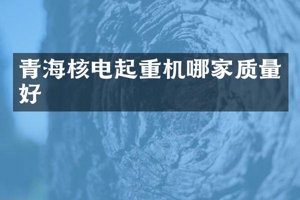 青海核电起重机哪家质量好