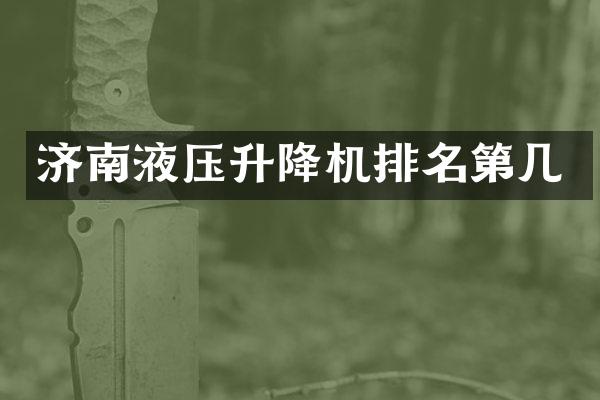 济南液压升降机排名第几