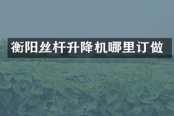 衡阳丝杆升降机哪里订做
