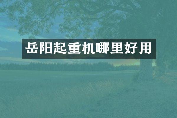 岳阳起重机哪里好用