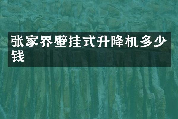 张家界壁挂式升降机多少钱