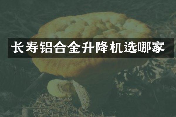 长寿铝合金升降机选哪家