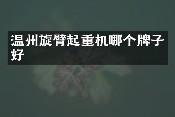 温州旋臂起重机哪个牌子好