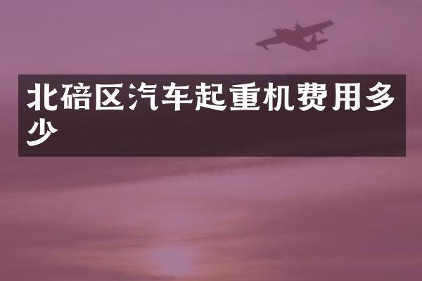 北碚区汽车起重机费用多少