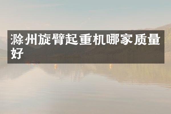 滁州旋臂起重机哪家质量好