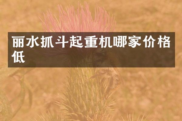 丽水抓斗起重机哪家价格低