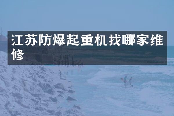 江苏防爆起重机找哪家维修