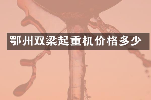 鄂州双梁起重机价格多少