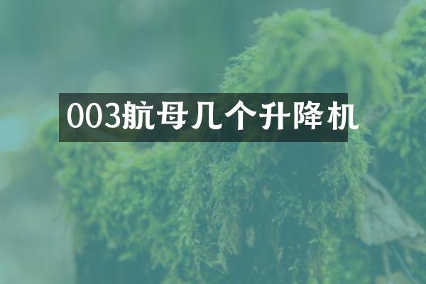 003航母几个升降机