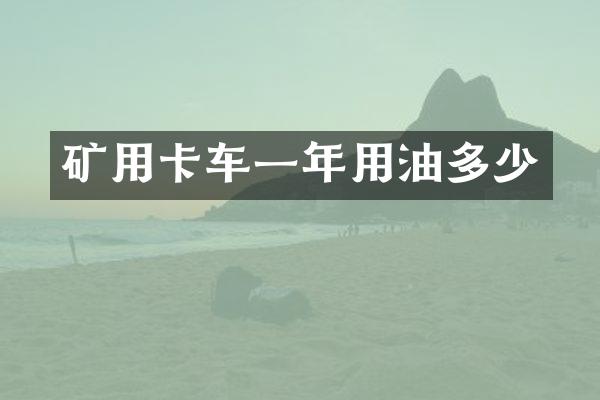 矿用卡车一年用油多少