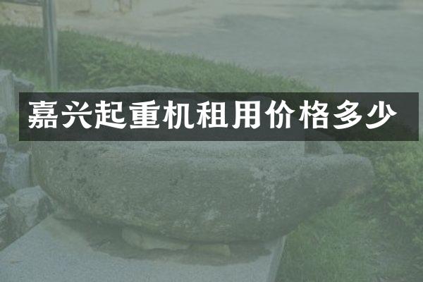 嘉兴起重机租用价格多少