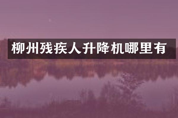 柳州残疾人升降机哪里有