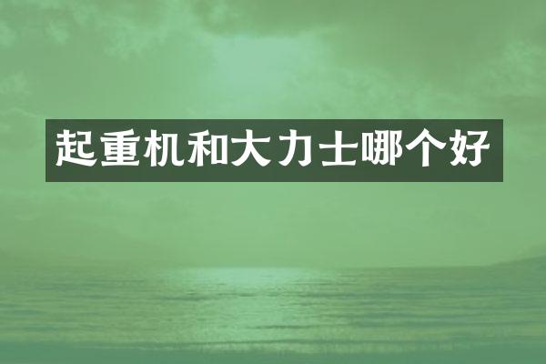 起重机和大力士哪个好