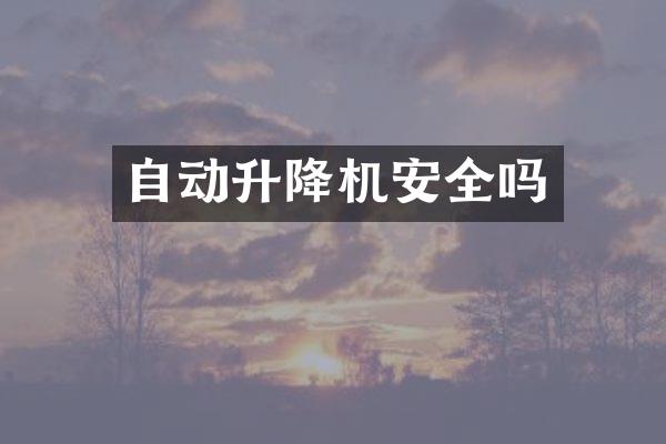自动升降机安全吗