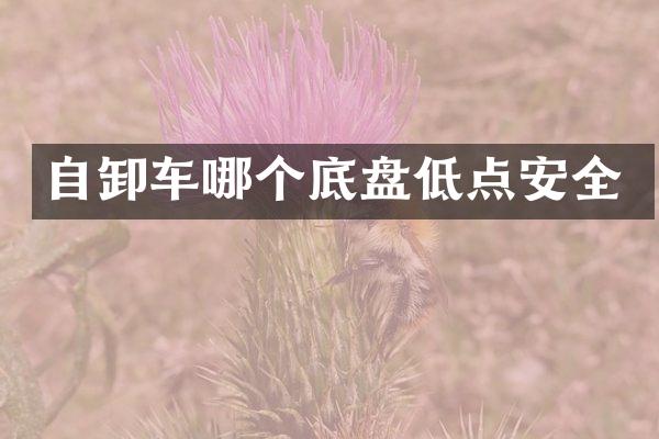 自卸车哪个底盘低点安全
