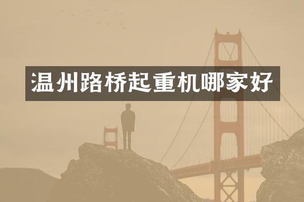 温州路桥起重机哪家好