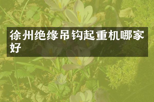 徐州绝缘吊钩起重机哪家好