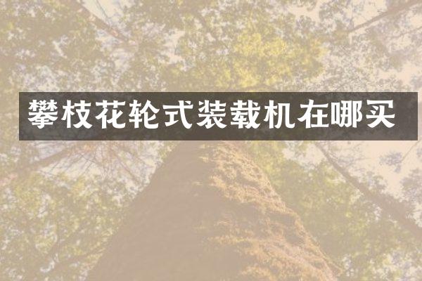攀枝花轮式装载机在哪买