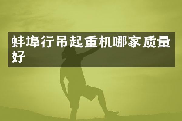 蚌埠行吊起重机哪家质量好