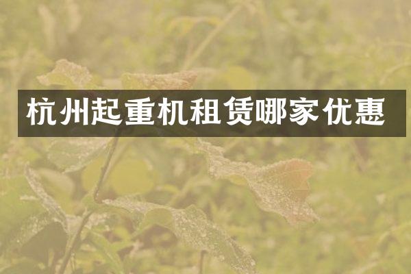 杭州起重机租赁哪家优惠