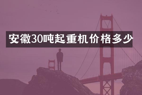 安徽30吨起重机价格多少