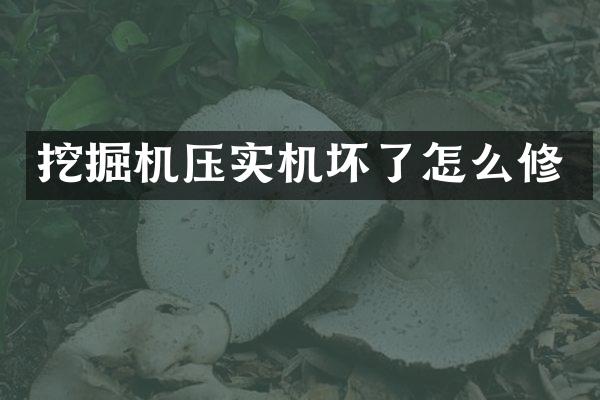 挖掘机压实机坏了怎么修