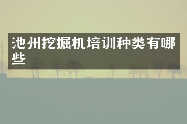 池州挖掘机培训种类有哪些