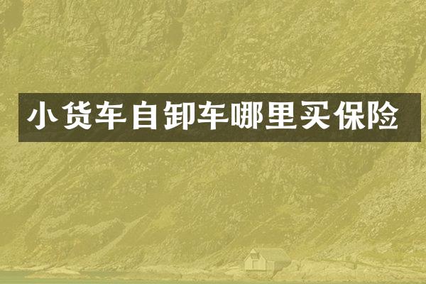 小货车自卸车哪里买保险