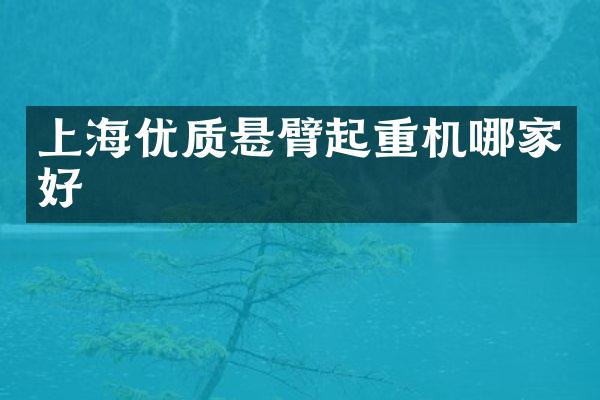 上海优质悬臂起重机哪家好