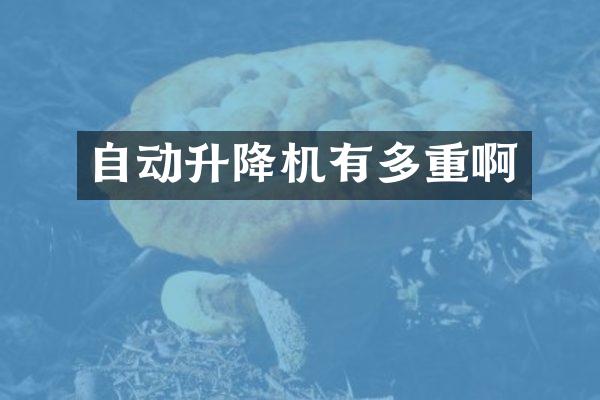 自动升降机有多重啊