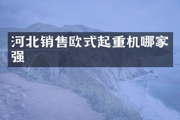 河北销售欧式起重机哪家强