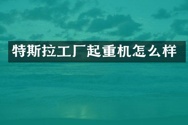 特斯拉工厂起重机怎么样