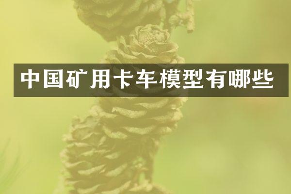 中国矿用卡车模型有哪些