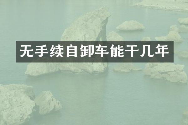 无手续自卸车能干几年