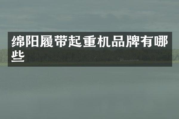 绵阳履带起重机品牌有哪些