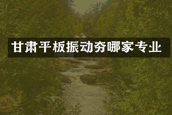 甘肃平板振动夯哪家专业