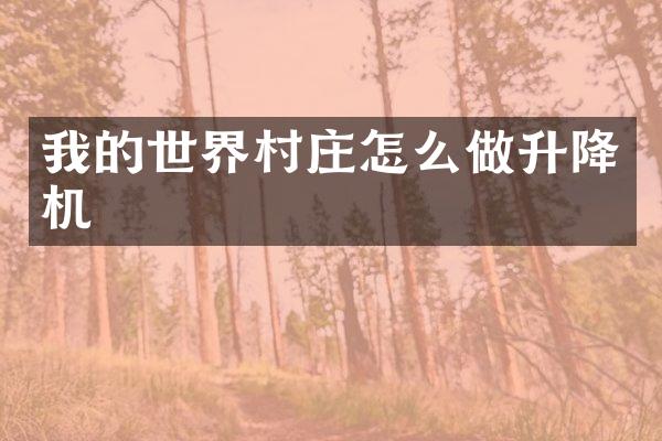 我的世界村庄怎么做升降机