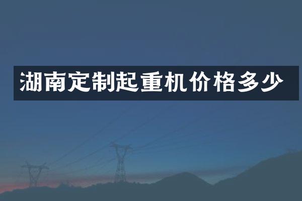 湖南定制起重机价格多少