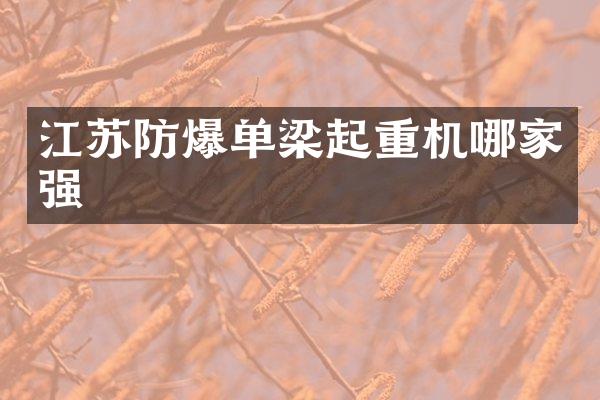 江苏防爆单梁起重机哪家强