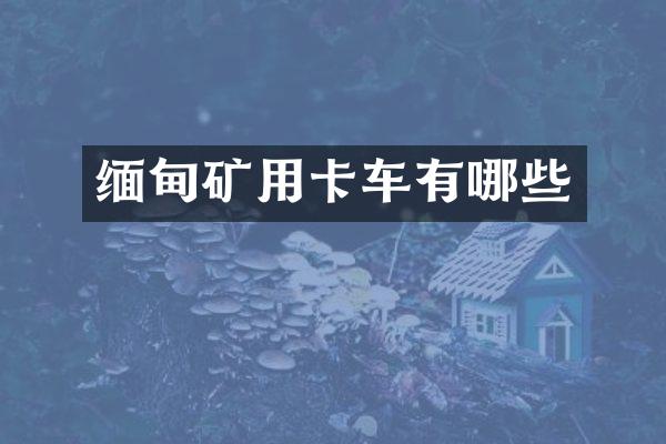 缅甸矿用卡车有哪些