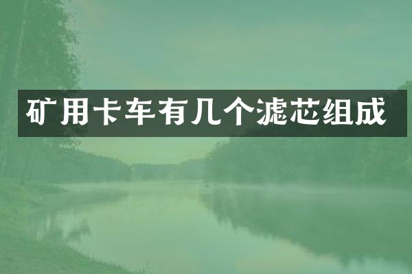 矿用卡车有几个滤芯组成