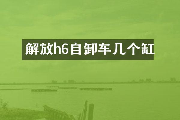 解放h6自卸车几个缸