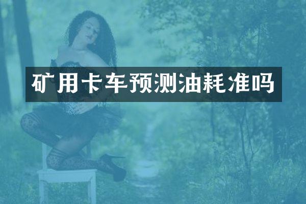 矿用卡车预测油耗准吗