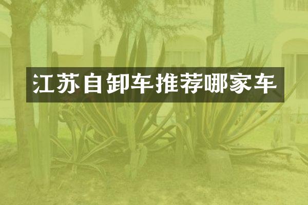 江苏自卸车推荐哪家车