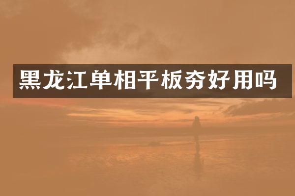 黑龙江单相平板夯好用吗
