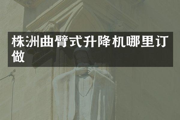 株洲曲臂式升降机哪里订做