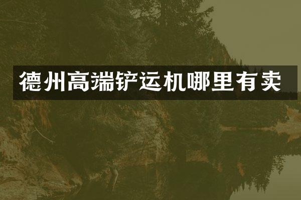 德州高端铲运机哪里有卖