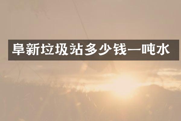 阜新垃圾站多少钱一吨水