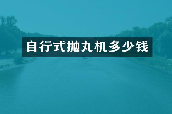 自行式抛丸机多少钱